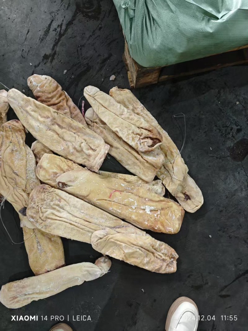 鲨鱼肚海鱼肚海鱼胃海八珍之一