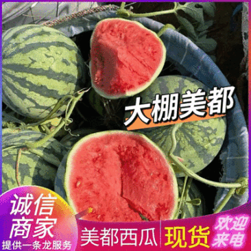 《精选》美都麒麟瓜/美都无籽西瓜/基地批发/大棚美都西瓜