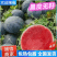 黑皮无籽西瓜/周口西瓜/无籽西瓜头茬瓜/包熟包甜全国发