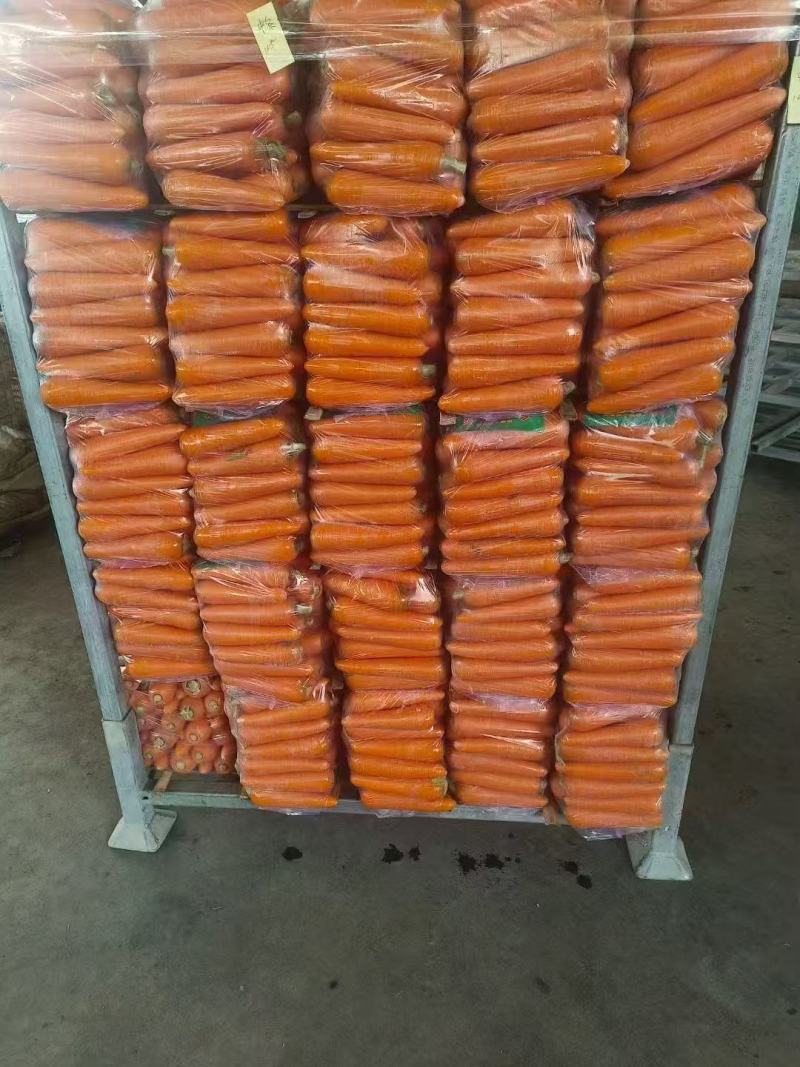 新鲜胡萝卜，大量现货速发，产品保质保量欢迎选购