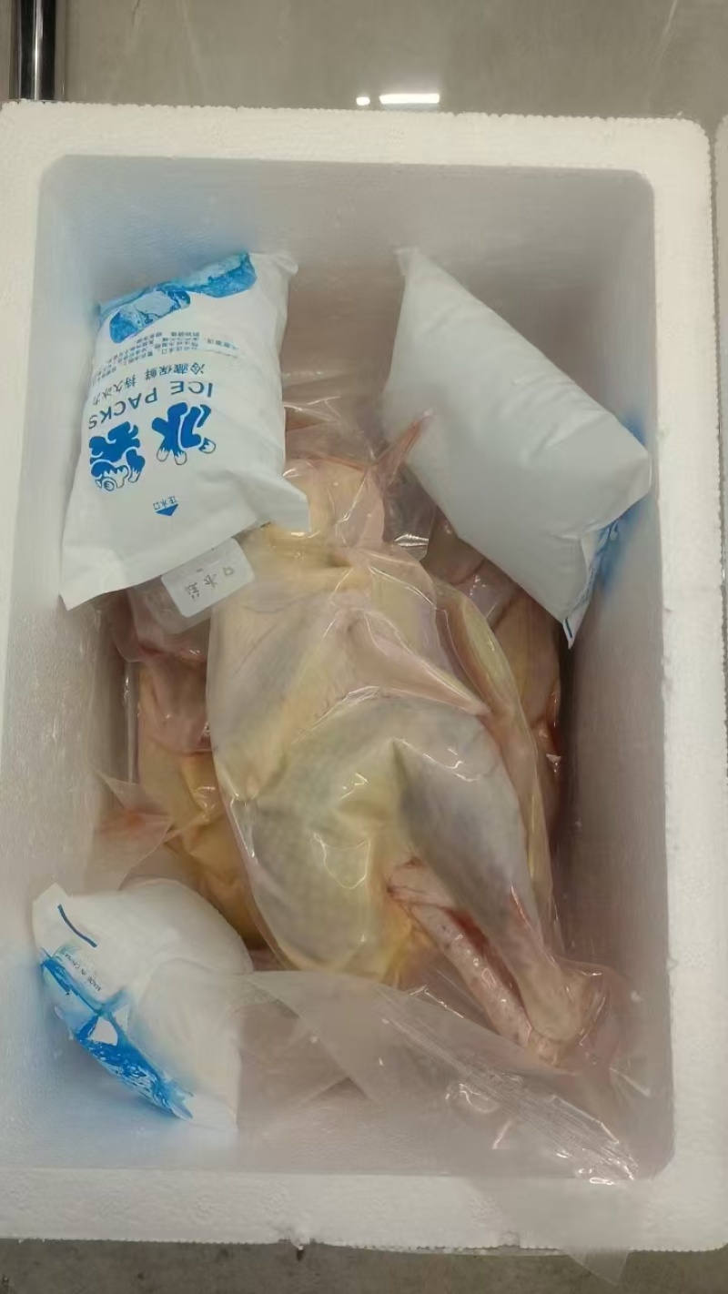 自家养殖土鸡现杀现发冷链发货品质保证肉质鲜美
