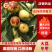 陕西大荔县冬枣新鲜供应甜度高支持视频看货欢迎电话订购
