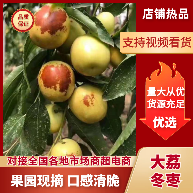 陕西大荔县冬枣新鲜供应甜度高支持视频看货欢迎电话订购