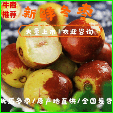 陕西大荔冬枣大量上市，一手货源，产地直发