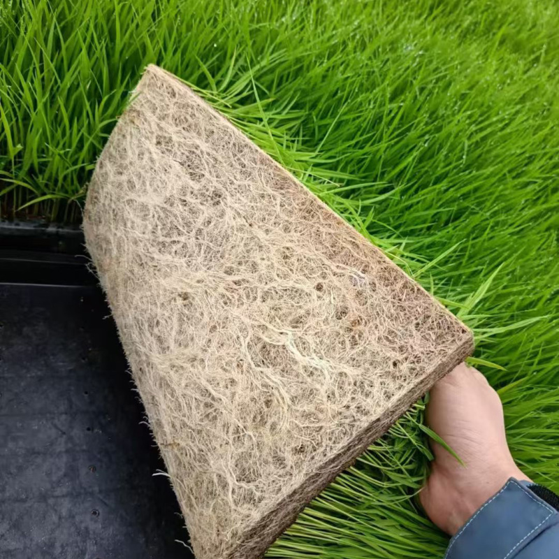 水稻育秧基质土