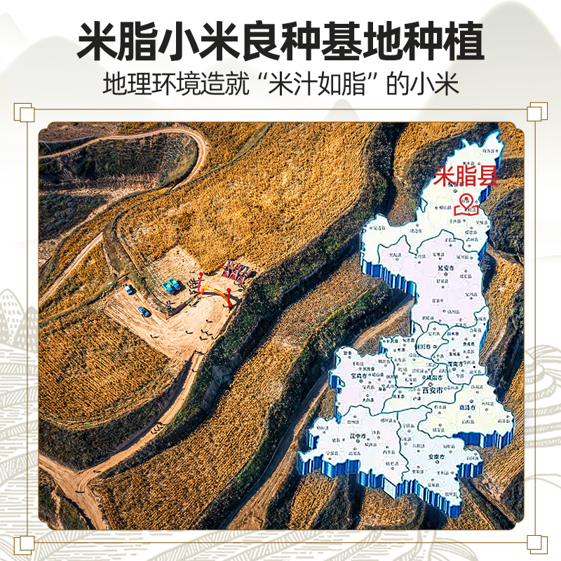 【米脂产地直供】新鲜小米，健康有机全年供应价格实惠