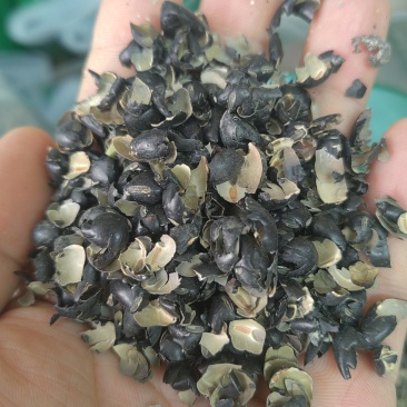 黑豆皮黑豆衣冷背药材大全超细粉加工