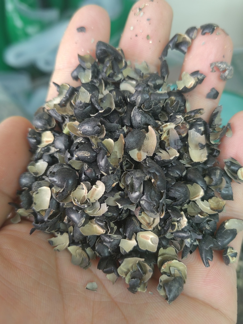 黑豆皮黑豆衣冷背药材大全超细粉加工
