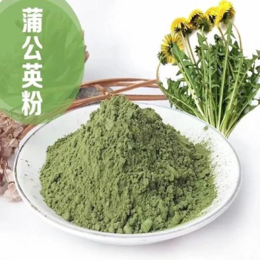 蒲公英粉超细粉加工中药大全
