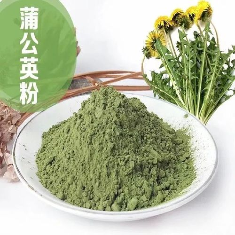 蒲公英粉超细粉加工中药大全