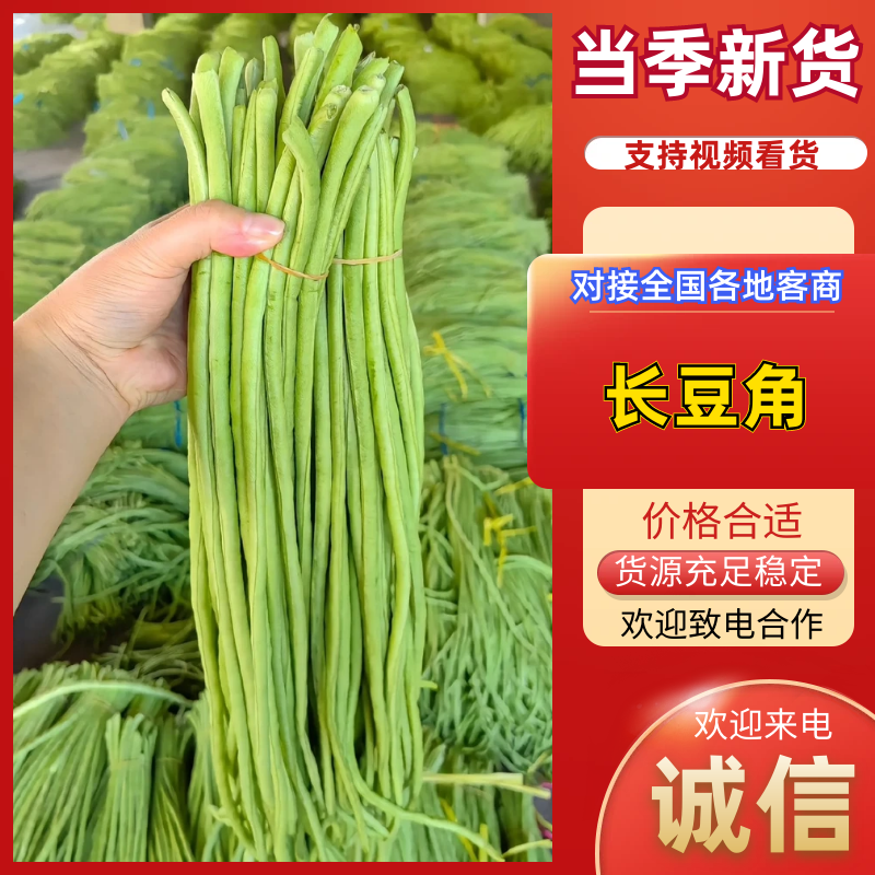 【精选】青条长豆角现摘现发产地直供可视频看货