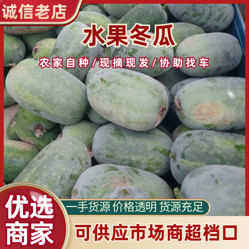 【实力代办】河南水果冬瓜产地直发可按需分拣欢迎咨询