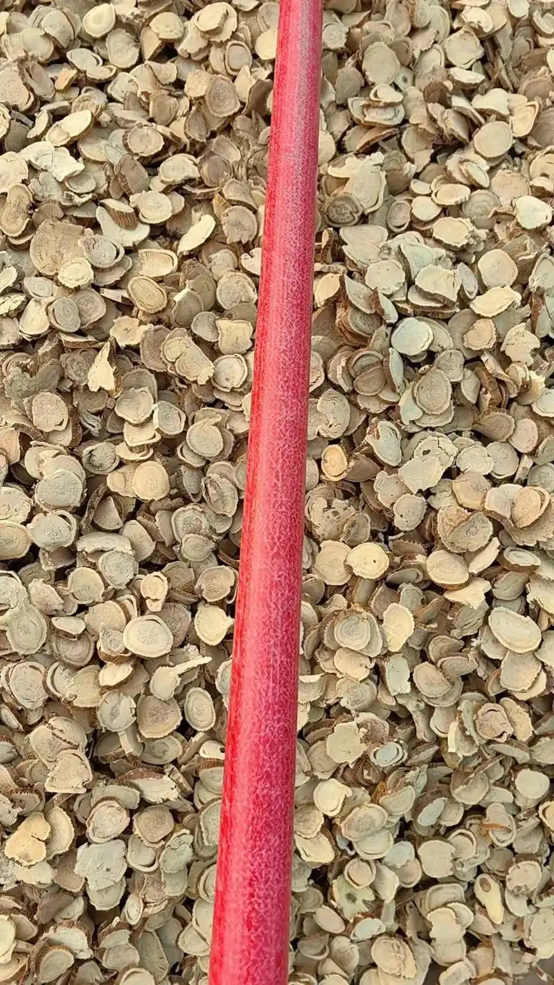 精品苦参大片选货超细粉加工现磨按方抓药