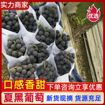 【实力推
