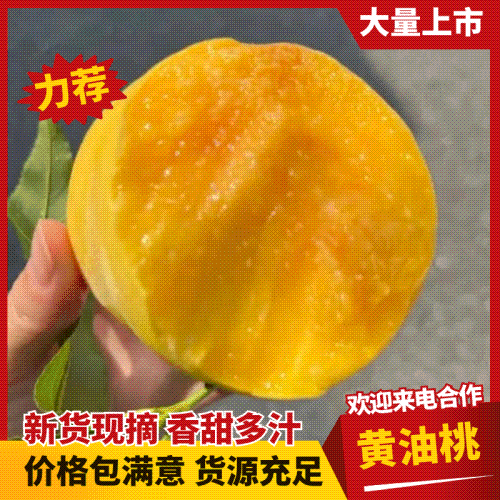 山东黄油桃/黄毛桃一件代发对接电商平台市场商超