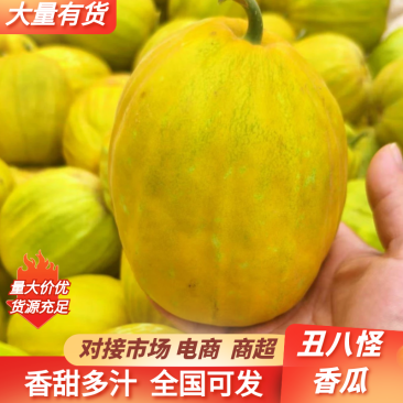 万亩丑八怪香瓜，大量现货上市，口感脆甜，个头大，果面干净