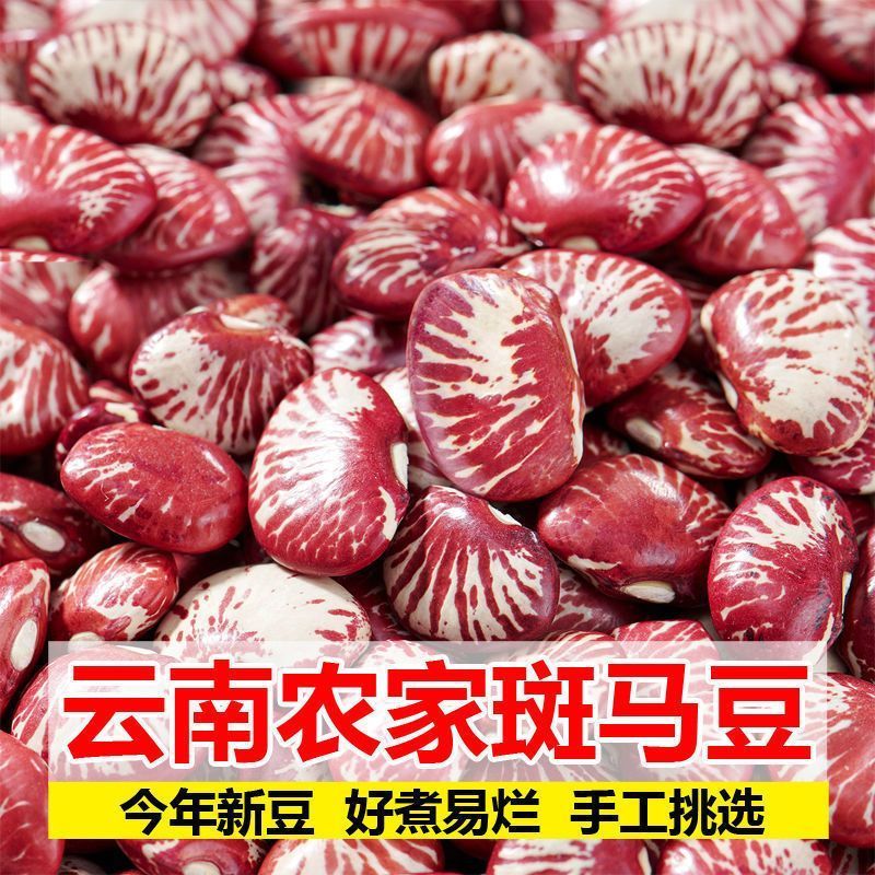 云南大豆斑马豆量大质优价格优惠一手货源欢迎咨询采购
