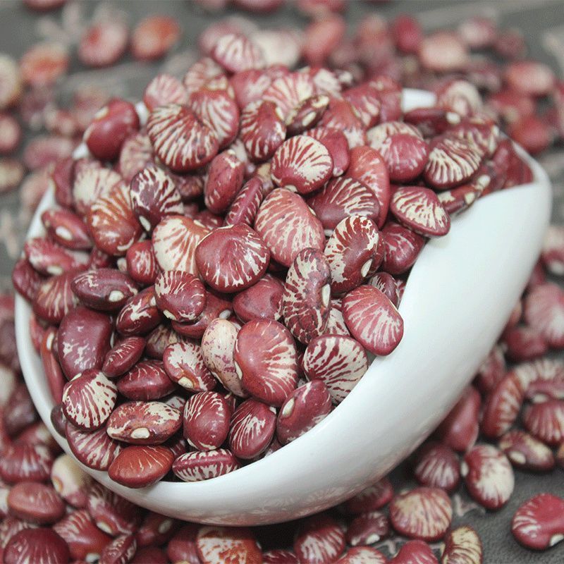 云南大豆斑马豆量大质优价格优惠一手货源欢迎咨询采购