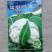 瑞雪120天青梗松花菜种子耐寒性好花球圆整花蕾白美