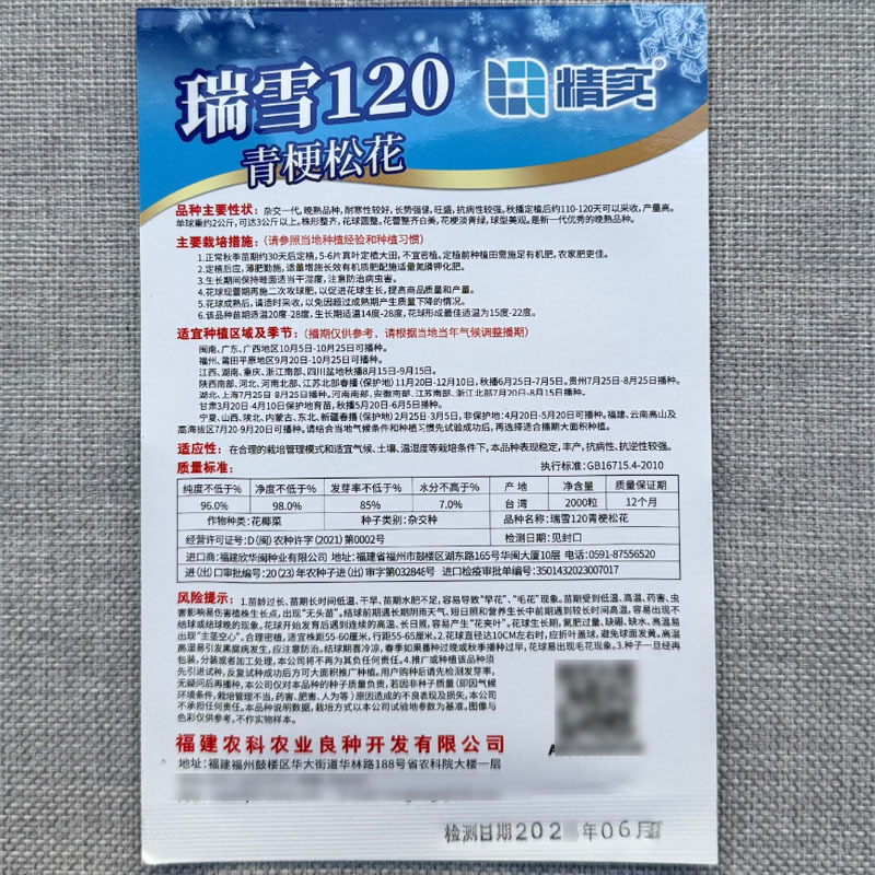 瑞雪120天青梗松花菜种子耐寒性好花球圆整花蕾白美