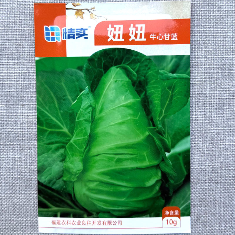 妞妞牛心甘蓝种子叶球收尖好叶球亮绿有光泽耐抽性强