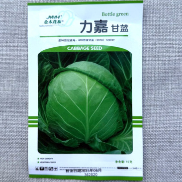 力嘉甘蓝种子中早熟甘蓝种子抗黄萎病和黑腐病抗热性好