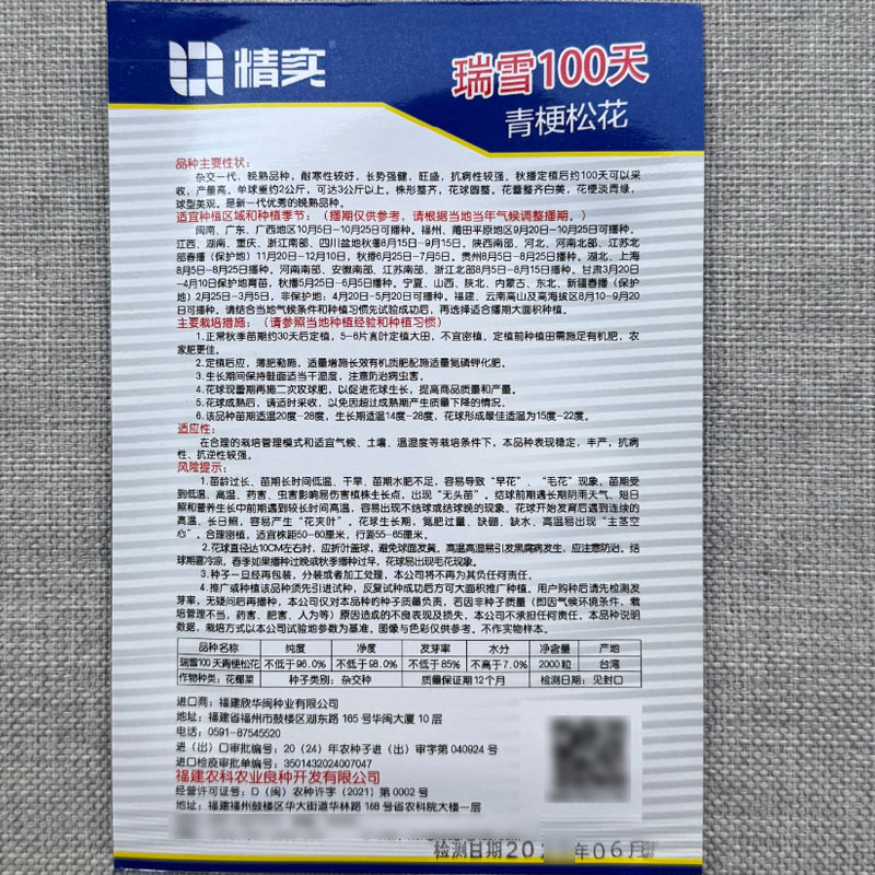 瑞雪100天青梗松花菜种子杂交晚熟品种耐寒性好抗病