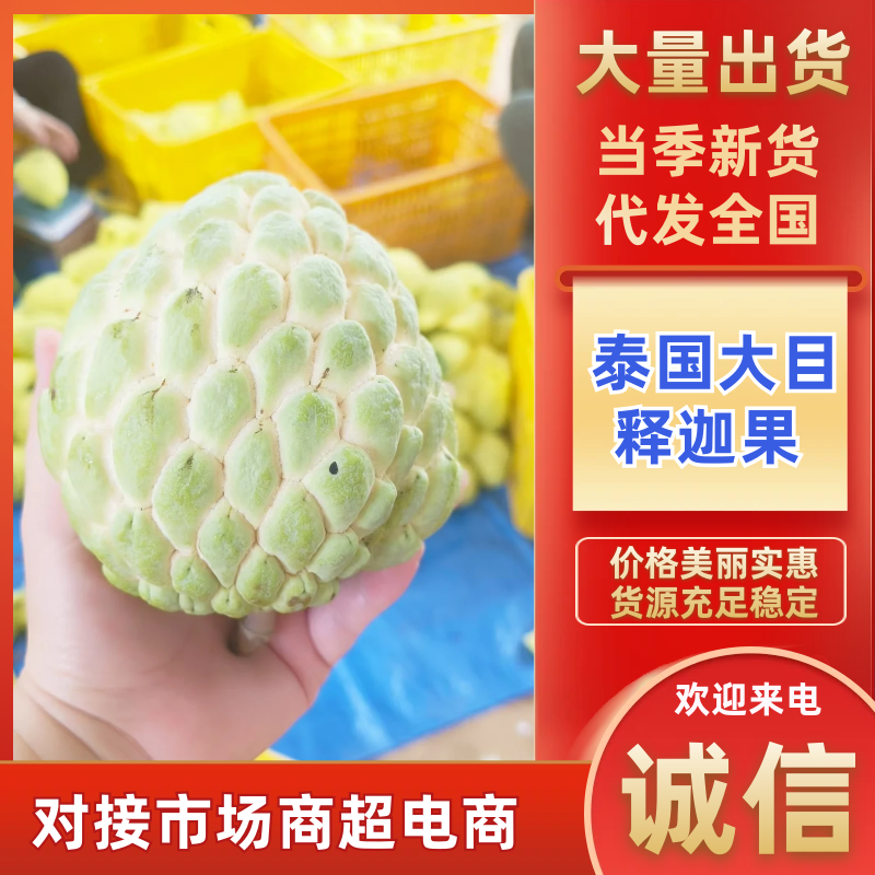 泰国释迦果/大目释迦果大量上市-对接点商超产地直发