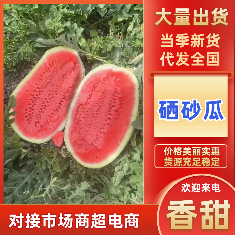 宁夏石头瓜硒砂瓜产地直供全国可发视频看货