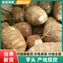 芋头8520毛芋头产地直发货源充足保质保量