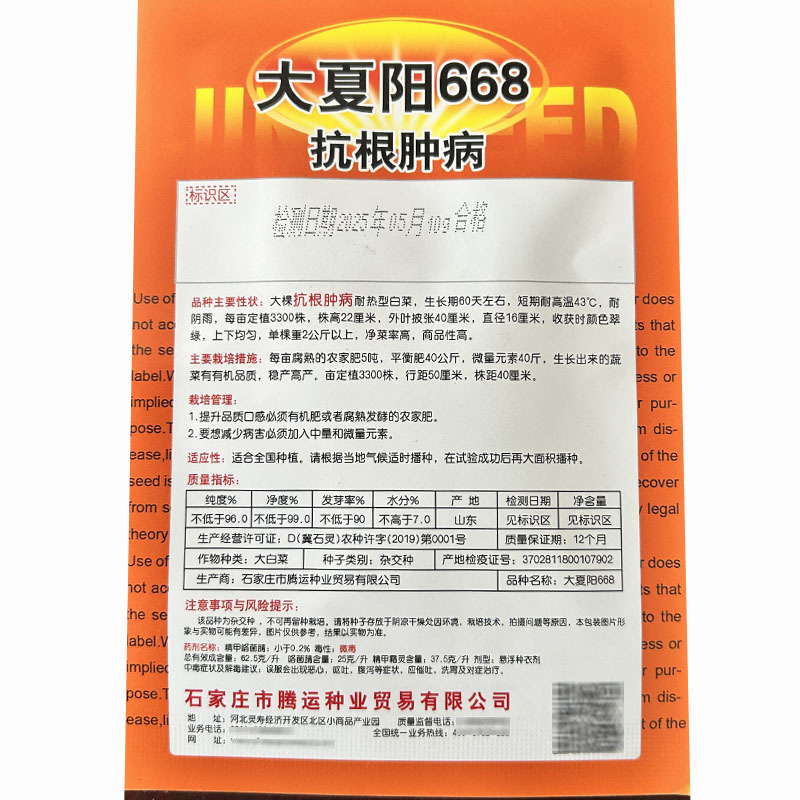 大夏阳666大白菜种子早熟抗热38°抗根肿病抽苔晚斤