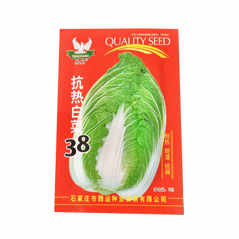 抗热白菜38白菜种子早熟夏季大白菜种秋季四季蔬菜种