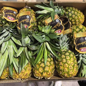 甜蜜蜜凤梨
