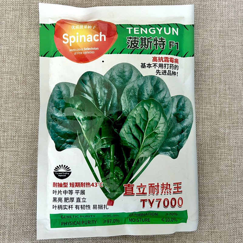 菠斯特F1TY7000菠菜种子直立耐热王叶黑亮肥厚实杆易