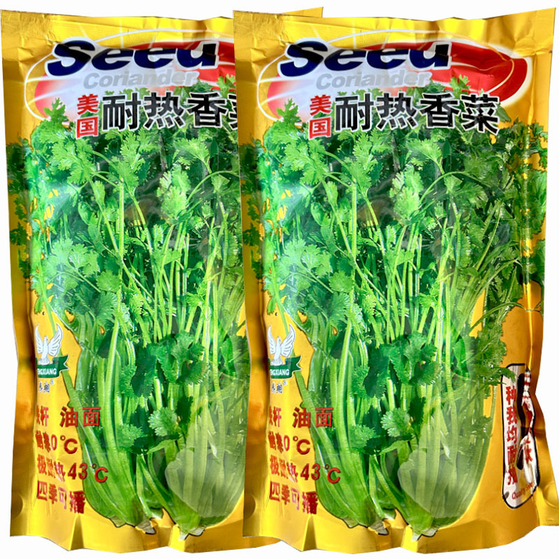 美国耐热香菜种子500g四季耐热耐寒铁杆油面大叶芫荽