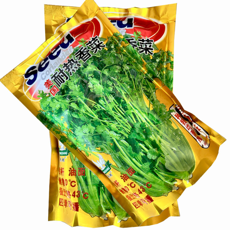 美国耐热香菜种子500g四季耐热耐寒铁杆油面大叶芫荽