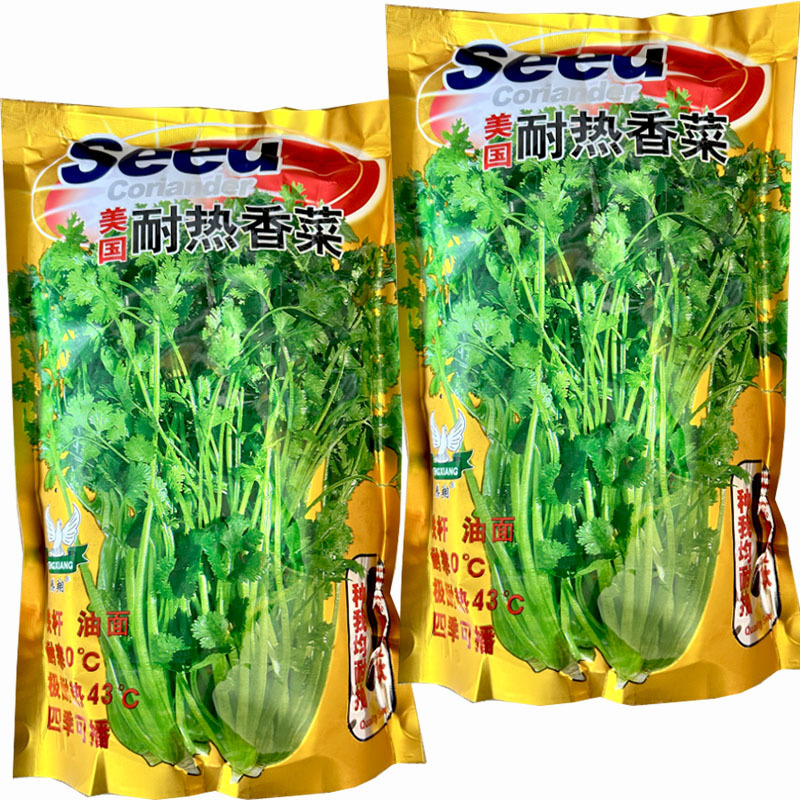美国耐热香菜种子500g四季耐热耐寒铁杆油面大叶芫荽
