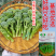 【力禾种苗】吉祥西兰苔种子西兰花芦笋青花菜芥兰基地优选蔬