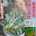 【力禾种苗】吉祥西兰苔种子西兰花芦笋青花菜芥兰基地优选蔬