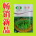 【力禾种苗】吉祥西兰苔种子西兰花芦笋青花菜芥兰基地优选蔬