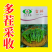 【力禾种苗】吉祥西兰苔种子西兰花芦笋青花菜芥兰基地优选蔬