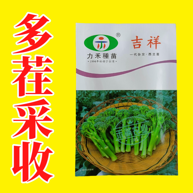 【力禾种苗】吉祥西兰苔种子西兰花芦笋青花菜芥兰基地优选蔬