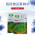 【力禾种苗】吉祥西兰苔种子西兰花芦笋青花菜芥兰基地优选蔬