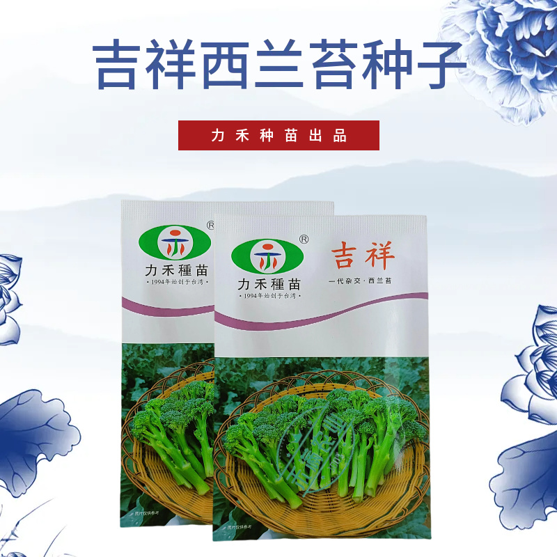 【力禾种苗】吉祥西兰苔种子西兰花芦笋青花菜芥兰基地优选蔬