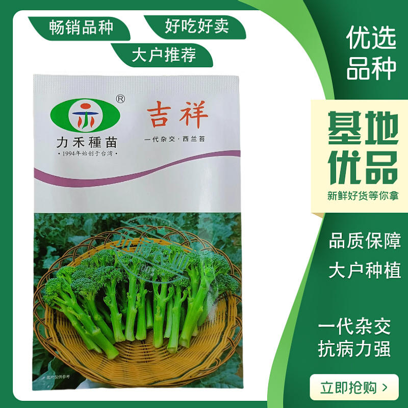 【力禾种苗】吉祥西兰苔种子西兰花芦笋青花菜芥兰基地优选蔬
