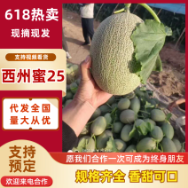 民勤县大漠西州蜜25号代办代发～诚信**