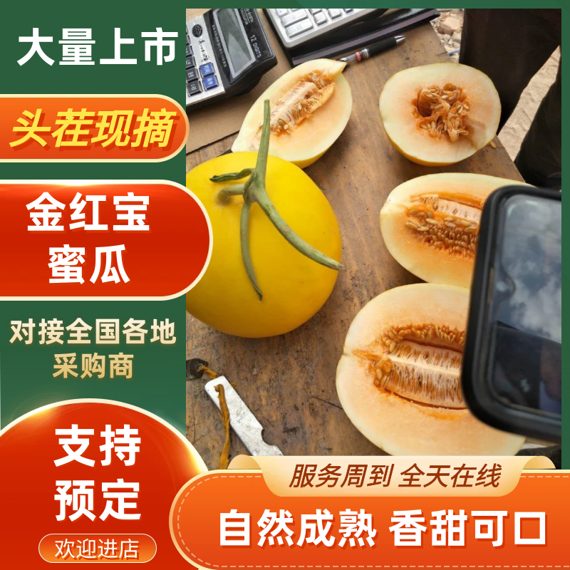 民勤县沙漠蜜瓜代办代发～诚信**期待一起合作