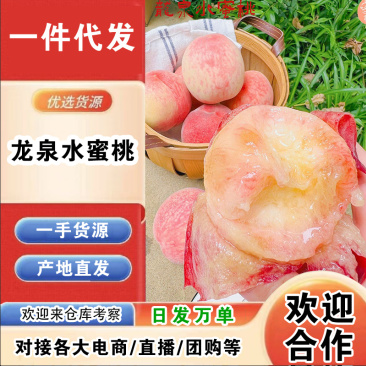 四川龙泉水蜜桃一件代发产地直发一手货源对接各大电商平台