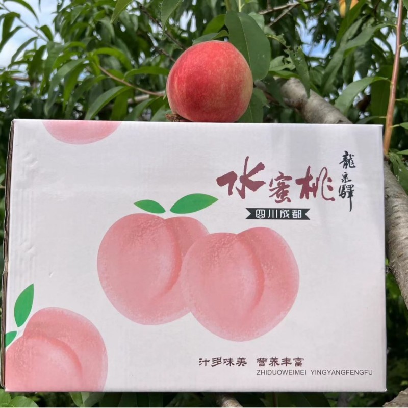 四川龙泉水蜜桃一件代发产地直发一手货源对接各大电商平台