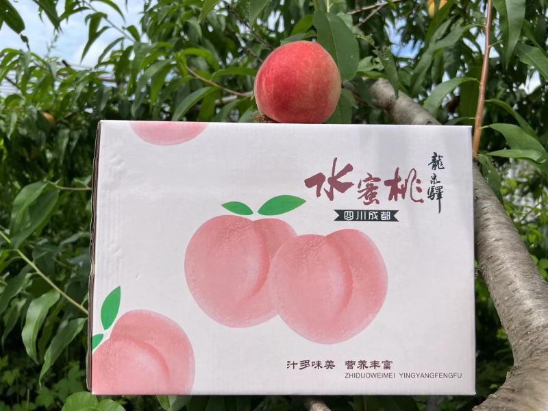 四川龙泉水蜜桃一件代发产地直发一手货源对接各大电商平台